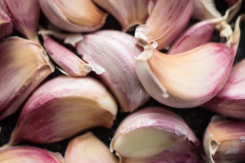 Plant-based Ingredients